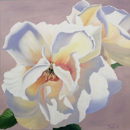 Цветы шиповника