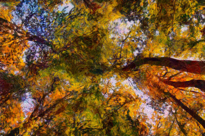 Любимая картина Милы