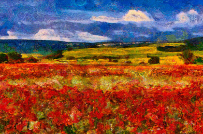 Маковое поле