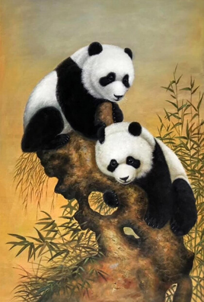Панды на дереве