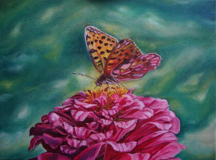 Бабочка на цветке