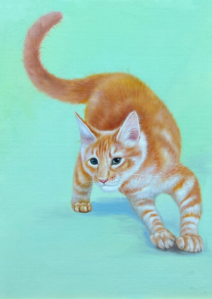 Рыжий котенок