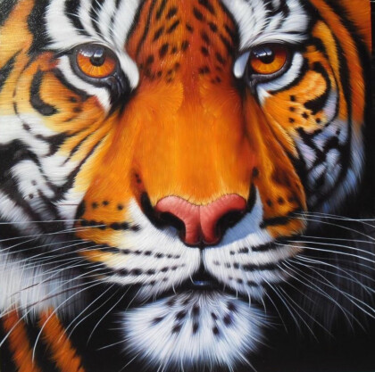 Тигриный взгляд