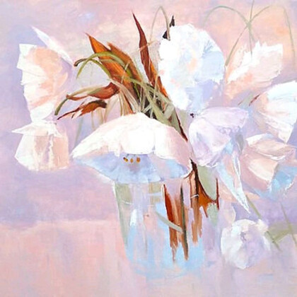 Нежные маки