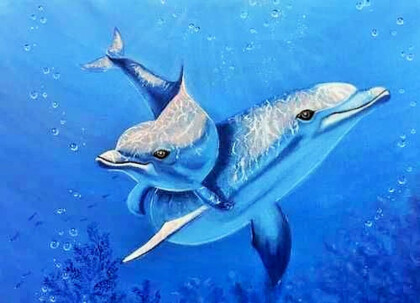 Анималистика, Животные, Дельфины