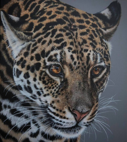 Внимательный леопард