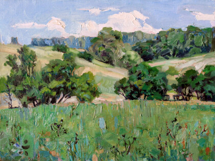 Меловые горы близ Языково.