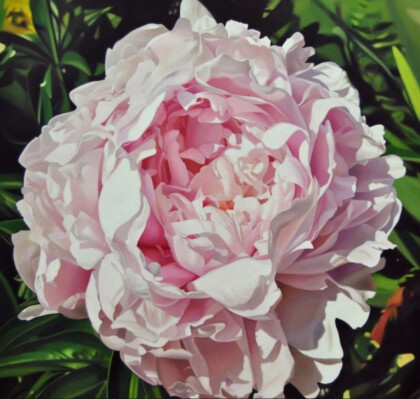 Пышный пион