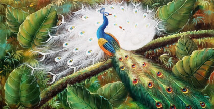 Два павлина