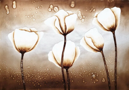 Белые тюльпаны