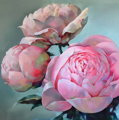 Розовые пионы