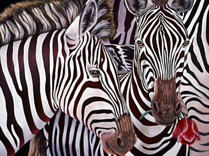 Зебры