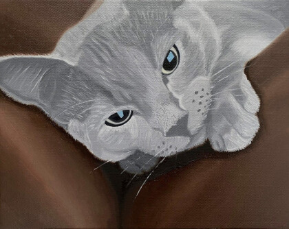 Кот на диване