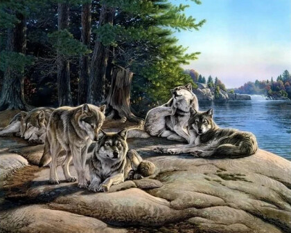 Волчья стая