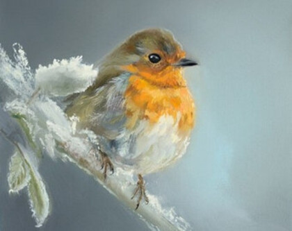 Птица Робин