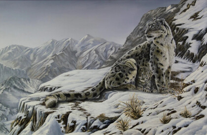 Под защитой