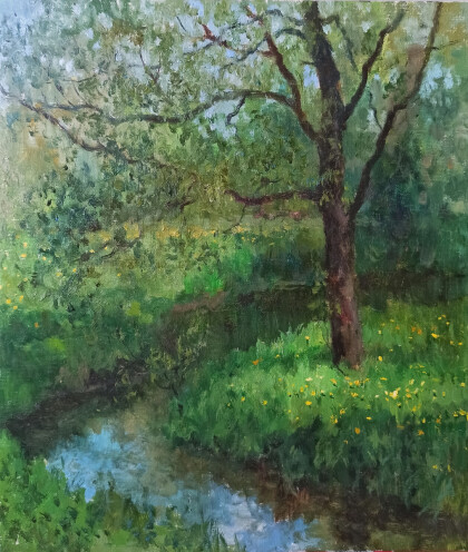 Ива в Хотьково