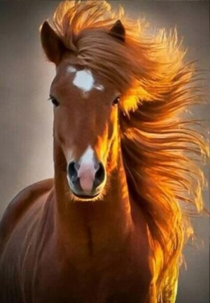 Красивая лошадь