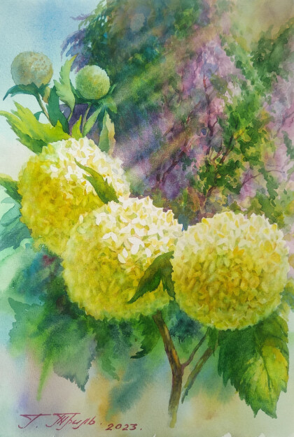 Бульденежи