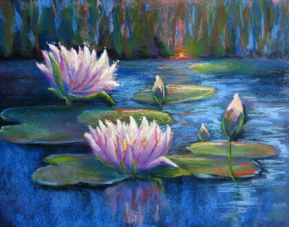 Нежные лотосы