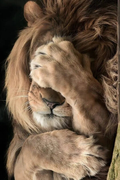 Ничего не вижу)