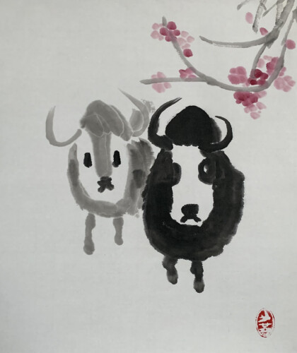 Из года в год приходит весна (буйволы)