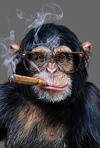 Обезьяна с папиросой