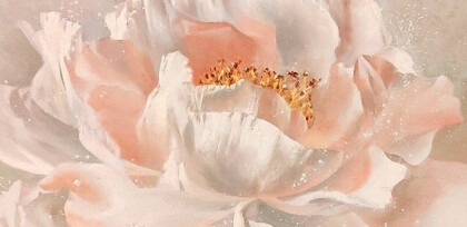 Распустившийся пион