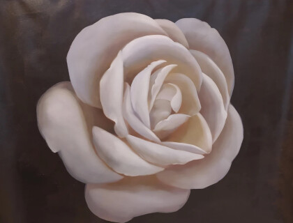 Нежная роза