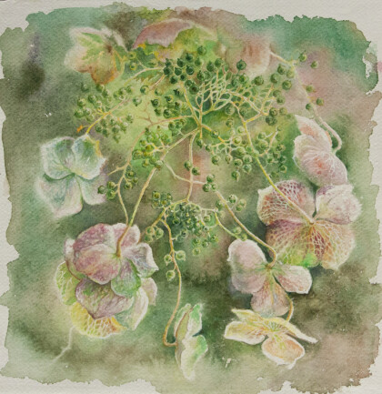 В Ботаническом саду