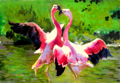 Фламинго