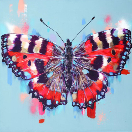 Пёстрая бабочка