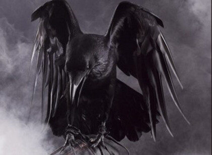 Черный ворон