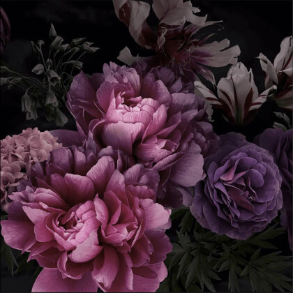 Красивые пионы