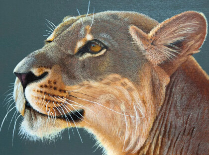 Гордая львица