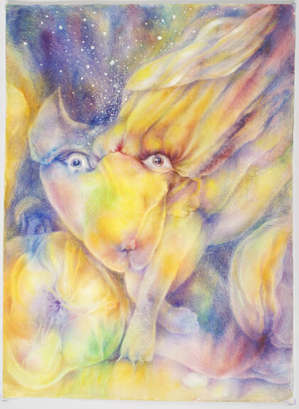 Созвездие гончих псов