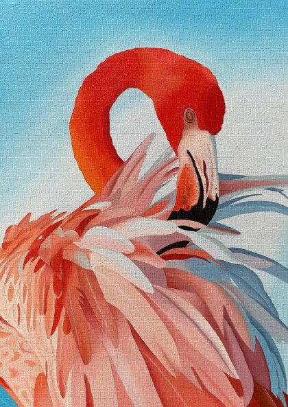 Розовый фламинго