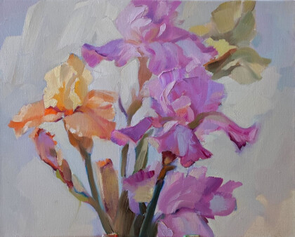 Ирисы