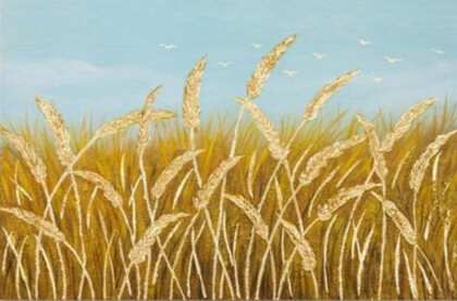 Золотая пшеница