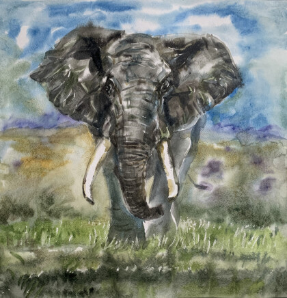 Африканский слон