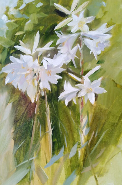 Лилии в саду