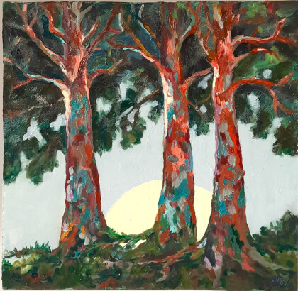 Три сосны на закате