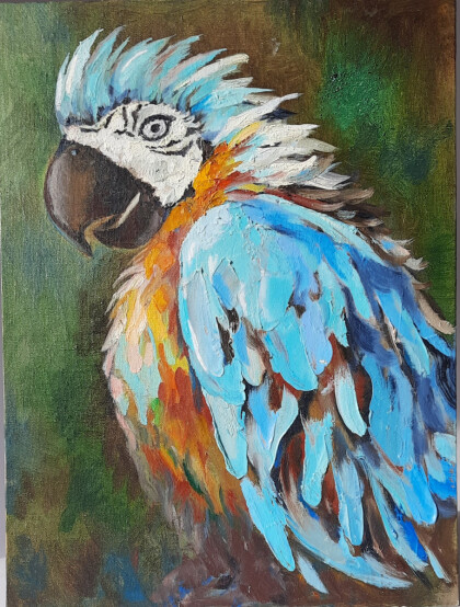 Озорной взгляд попугая