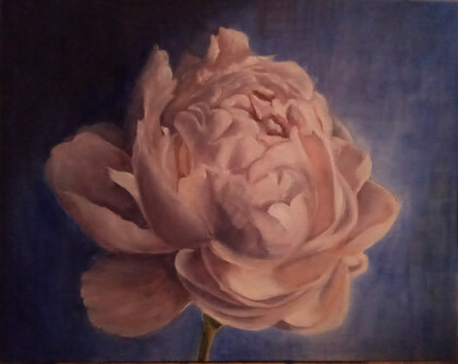 Розовый пион