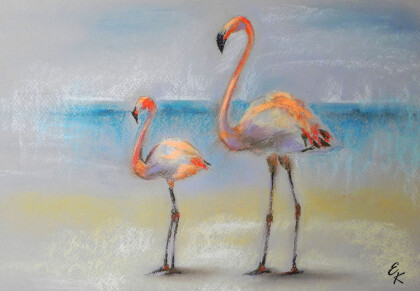 Фламинго
