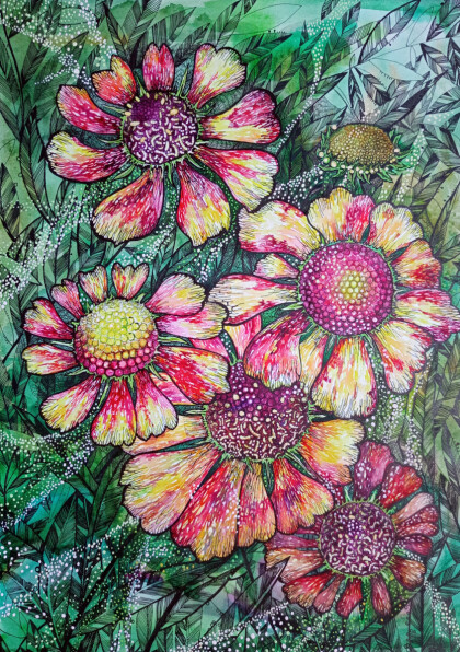 Гелениум осенний