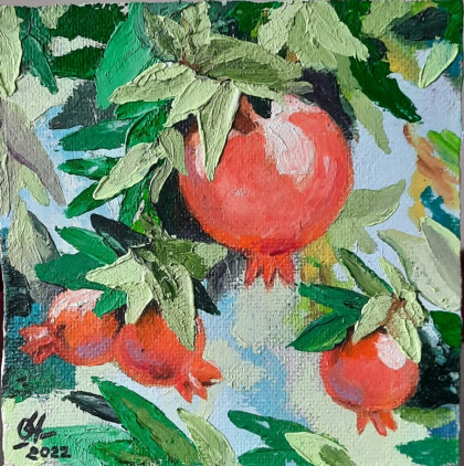 Ветка граната