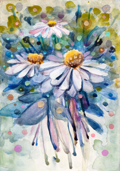 Поток луговых ромашек