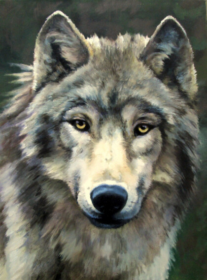 Точка зрения