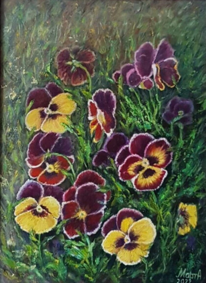 Цветы Анютины глазки